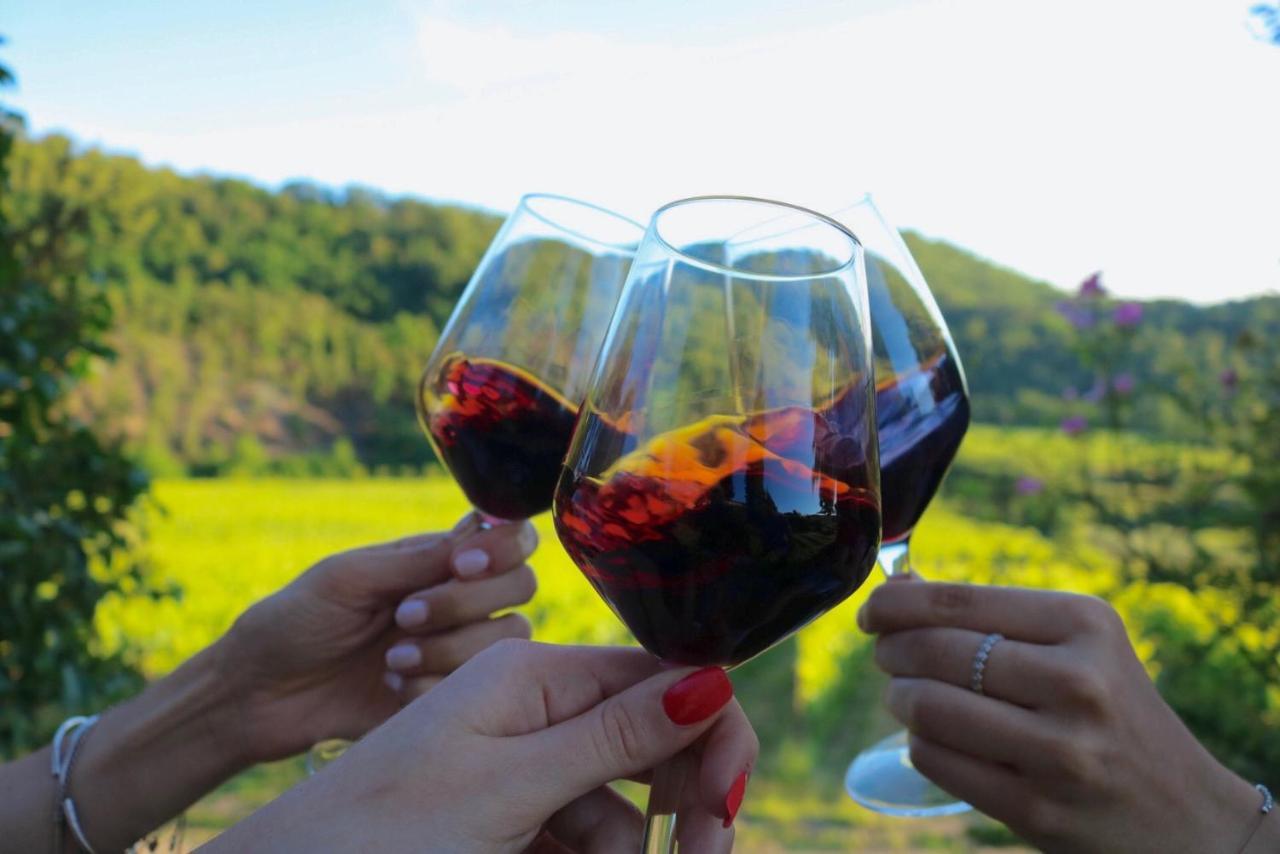 Antico Borgo Di Sugame Βίλα Greve in Chianti Εξωτερικό φωτογραφία