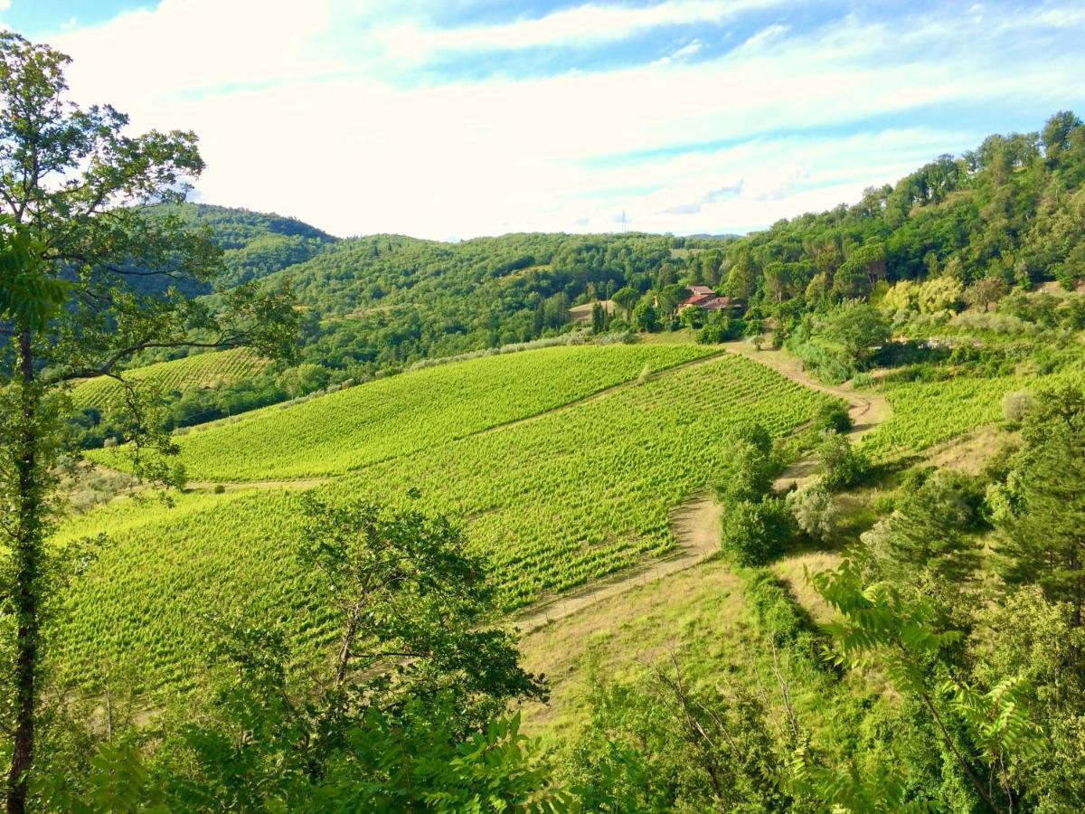 Antico Borgo Di Sugame Βίλα Greve in Chianti Εξωτερικό φωτογραφία