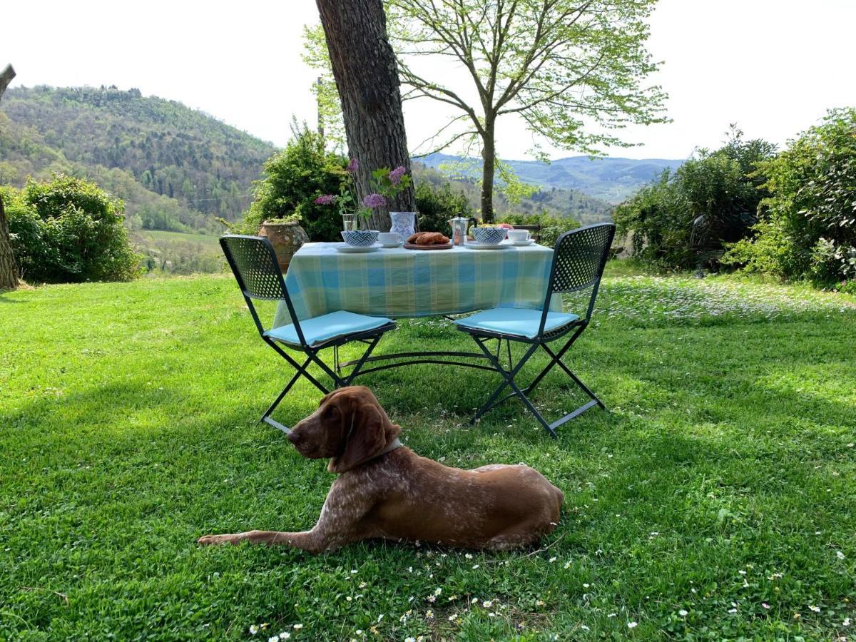Antico Borgo Di Sugame Βίλα Greve in Chianti Εξωτερικό φωτογραφία